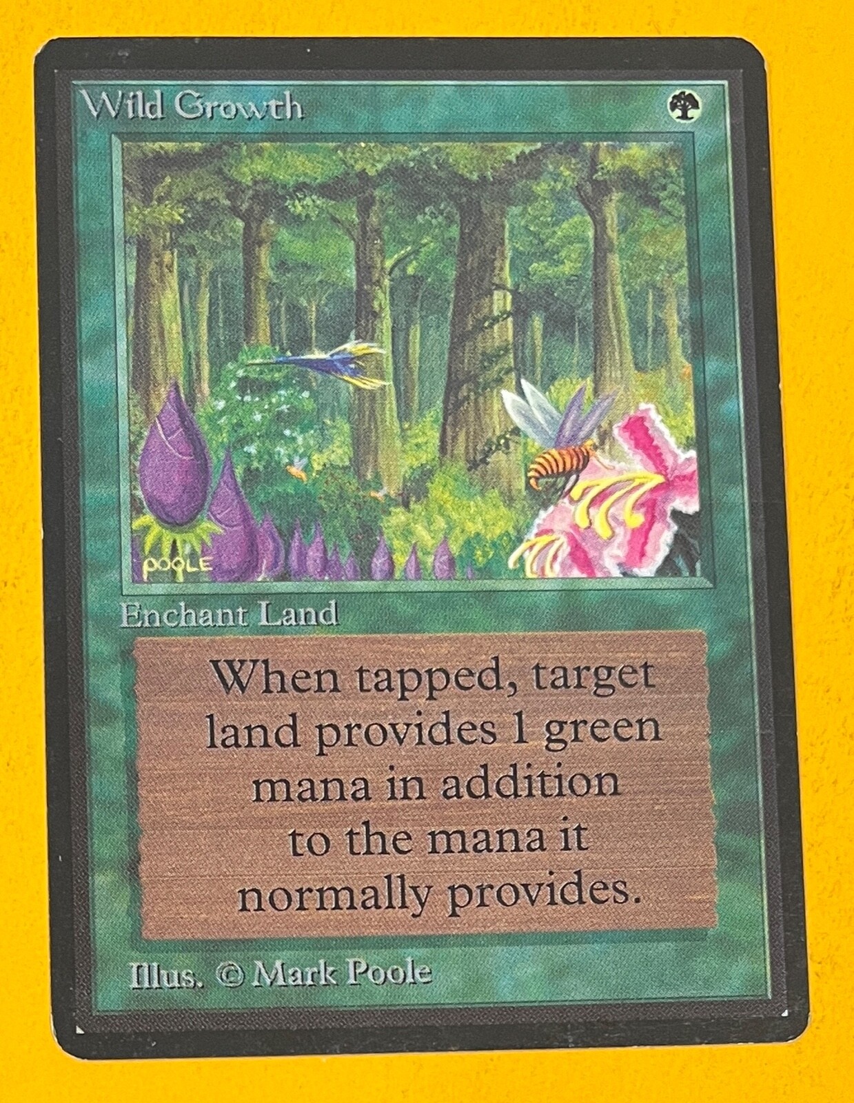 MTG WILD GROWTH Beta LP (OldManMTG 007-022)