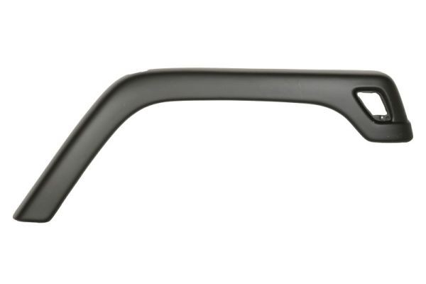 Right Front BLIC 5703-08-3255378GP Trim/Protection Strip, wing for JEEP