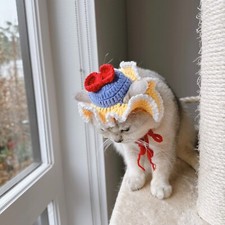 Snow white crochet hats for cats and small dogs/ knit cat hat