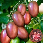 Ukrainian Purple Tomato Seeds 25 Seeds