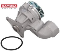 Kamoka T0157 Wasserpumpe Wapu FüR Hyundai FüR Kia