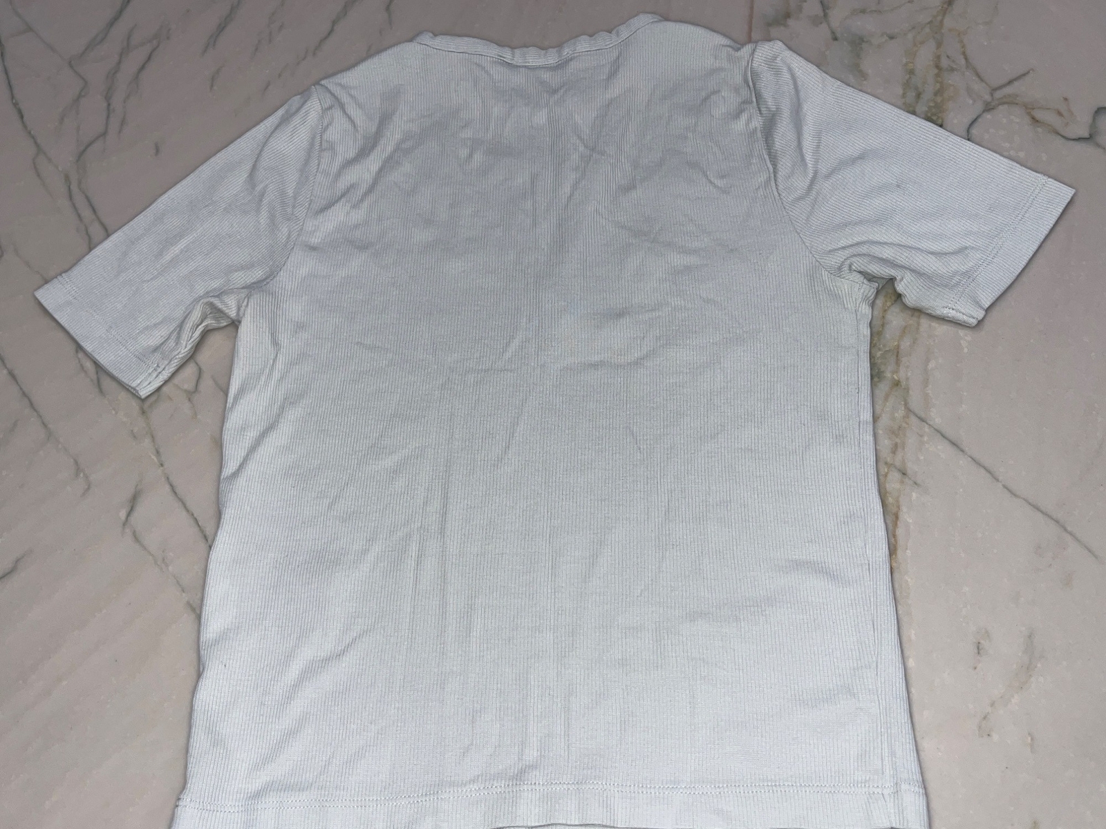 ACNE STUDIOS Embroidered Crop Tee in Ice Blue Small New Womens Tshirt Blouse Top image 7