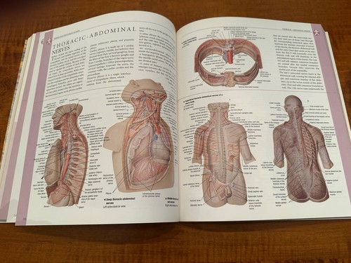 Atlas of Human Anatomy by TAJ Books Ltd. - Picture 5 of 10
