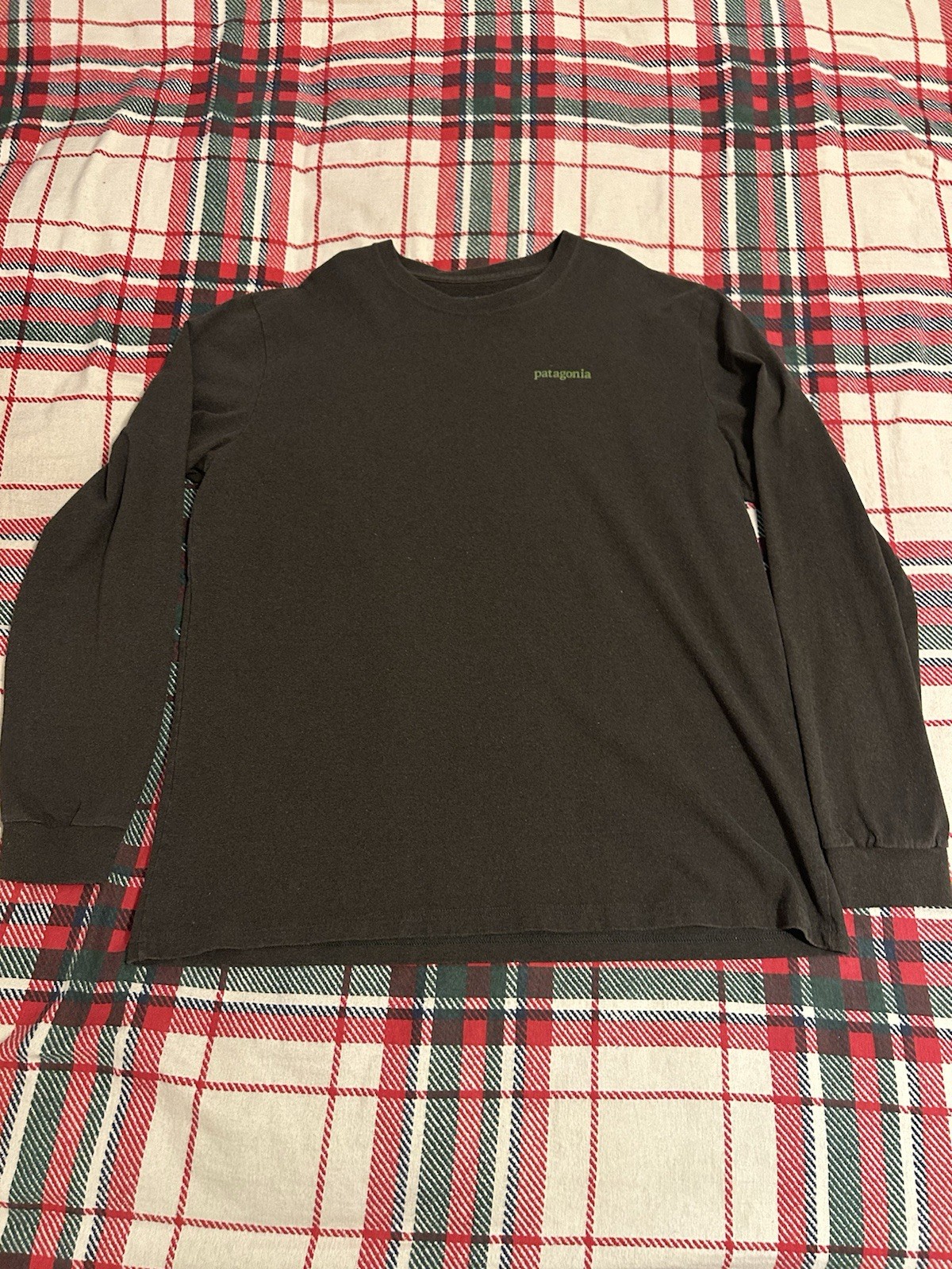 Patagonia Shirt Mens Large Blue Regular Fit long Sleeve Logo Graphic