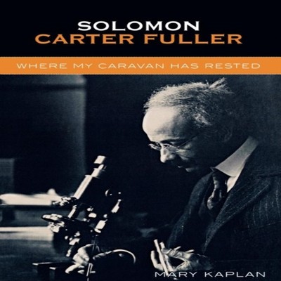 Solomon Carter Fuller Where My Caravan Has Rested Mary Kaplan Pap