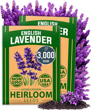 English Lavender Seeds 2 Pack 3000 Non GMO Wildflower Seed, for Planting Indoor