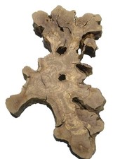 1x Oliven Wurzelholz Baumscheibe für Epoxid 60x38cm x 56mm