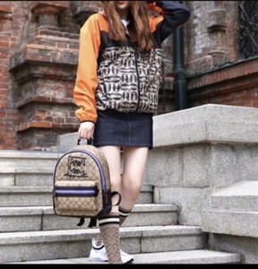 steele canvas tote