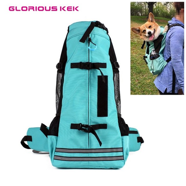 large pet backpack