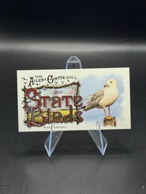 Ring-Billed Gull 2025 Topps Allen & Ginter Mini State Birds #SB-44