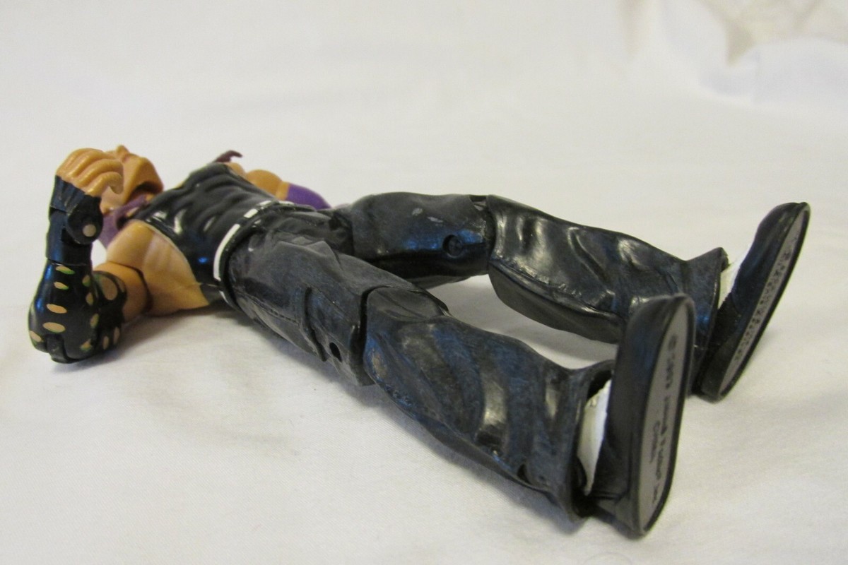 2003 WWE JAKKS Pacific Jeff Hardy Purple Hair Wrestling 2003 WWE JAKKS Pacific Jeff Hardy Purple Hair Wrestling
