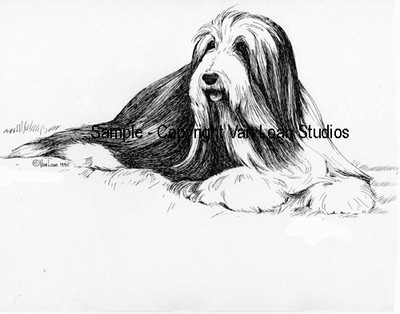 Bearded Collie Martha Van Loan LImited Edition Signed Numbered
