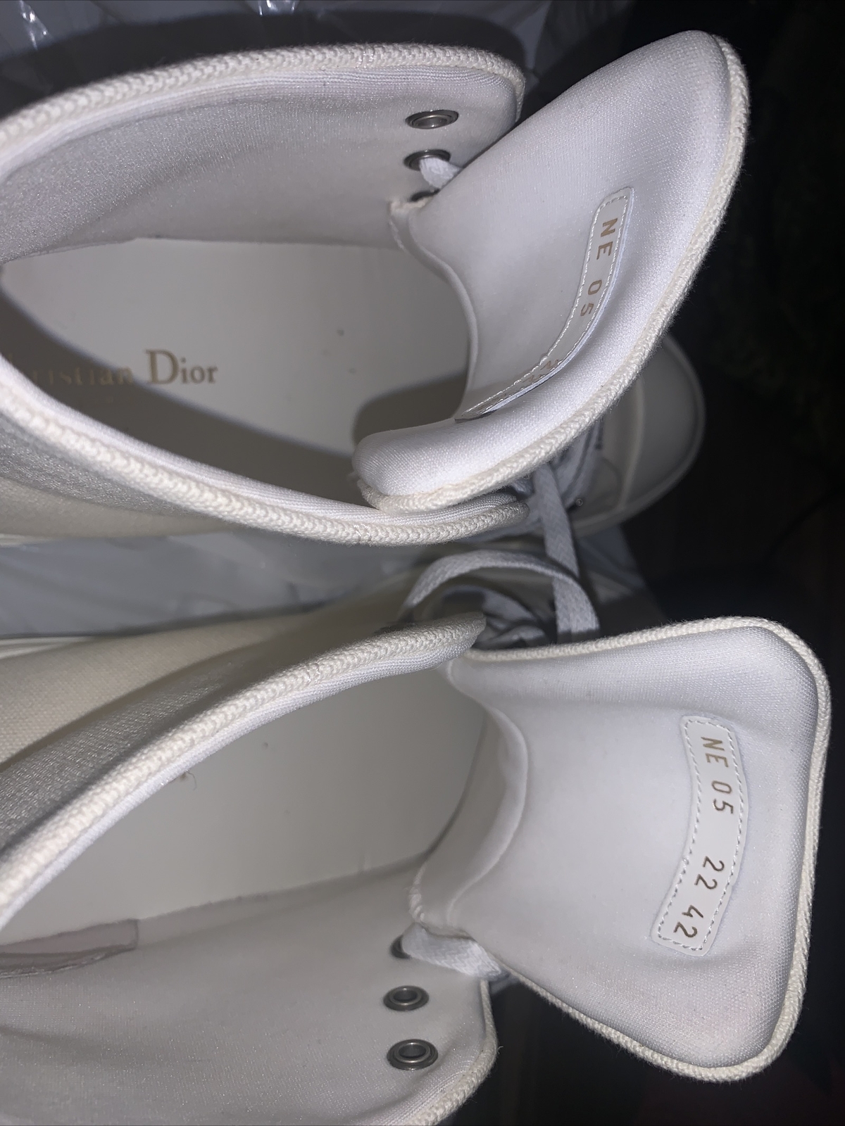 Dior “Walk’N Dior” Tiger sneaker 42 uS 9 image 7