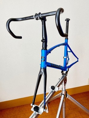 GIANT IDIOM0 2017年式 フレームセット 20インチ(451) Giant Idiom 0 2017 Folding Bike Frame Set | eBay