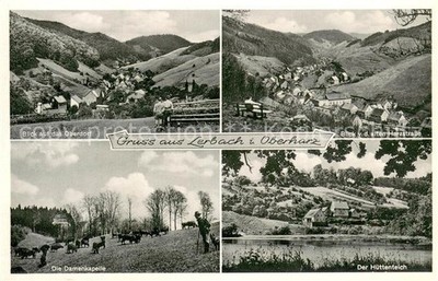 Lerbach Harz panoramic view from the old Harzstrasse ladies chapel cattle pasture Kue