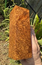 Stabilized K G Amboyna Burl Turning Blank  5.75 x 2 x 1.95   1370 