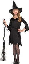 Lil' Witch Black Wicked Gothic Suit Yourself Fancy Dress Halloween Child Costume