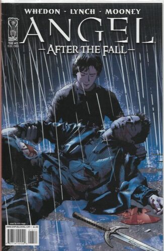 ANGEL AFTER THE FALL (2007) #13 B - Back Issue (S) - Picture 1 of 1