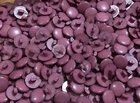 10 Vintage Plum Mulberry Purple Shank Buttons 14mm A31-11 AUSSIE SELLER