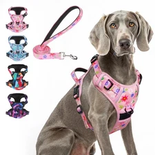 No Pull Dog Harness and Leash Set with 2 Metal Leash Clips - Overhead-Free 3 ...