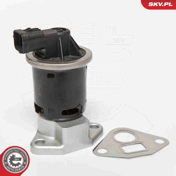 Esen SKV AGR Ventil 14SKV070 FüR Daewoo Nubira J200 U100 Rezzo 12V Chevrolet 16V-image