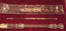 Eastar Clear Plastic Flute for Learning with Cleaning Rod in Case