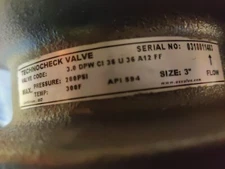  TECHNO CHECK VALVE 3.0  200 PSI 300º F 3.0  DPW CI 36 u 36 A12 FF api 594