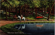 Riding Scene Saylors Lake Pennsylvania Linen ...