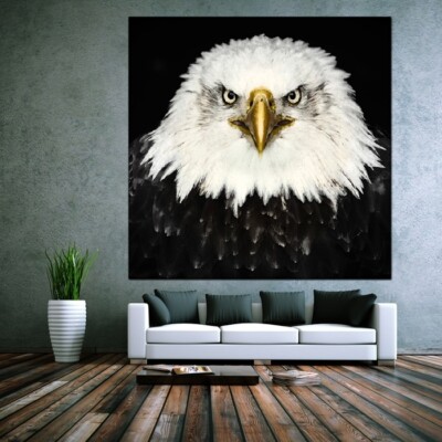 LEINWAND BILD ER XXL POP ART ADLER KOPF EAGLE  USA ABSTRAKT BUNT MODERNE KUNST