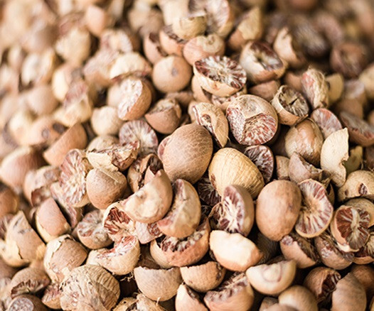 50PCS Dried Areca BETEL Nut Palm FREE Limestone Paste Supari Catechu Sri Lanka