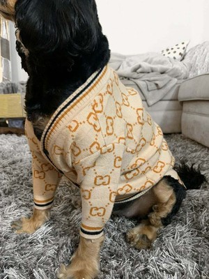 gucci dog apparel