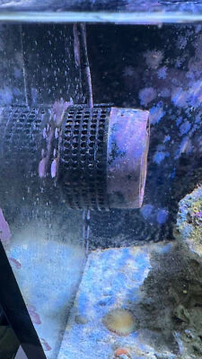 UNDISCLOSED AI Nero 3 Nem Guard