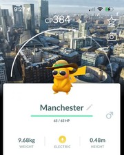 Pok mon Go - Shiny Pikachu Summer Hat - Background - Road Trip 2025 - Trade