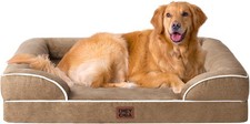 Orthopedic Dog Beds Extra Large Dogs Waterproof Memory Foam XL Dog Bed W/ Sides