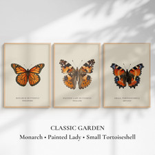 Garden Butterfly Print Set Monarch Painted Lady Tortoiseshell