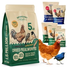 Hatortempt 5 lbs Non-GMO Dried Mealworms-High-Protein Mealworms for Wild Bird,Ch