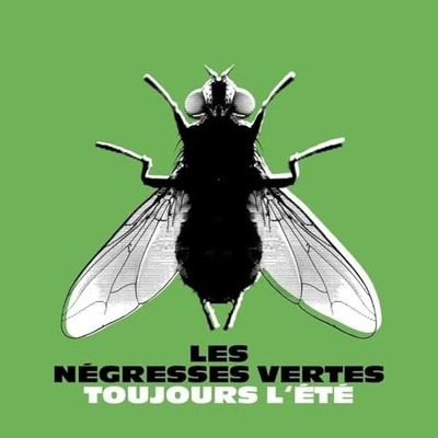 LES NEGRESSES VERTES - TOUJOURS LETE BEST OF - Vinyl Record - E600z