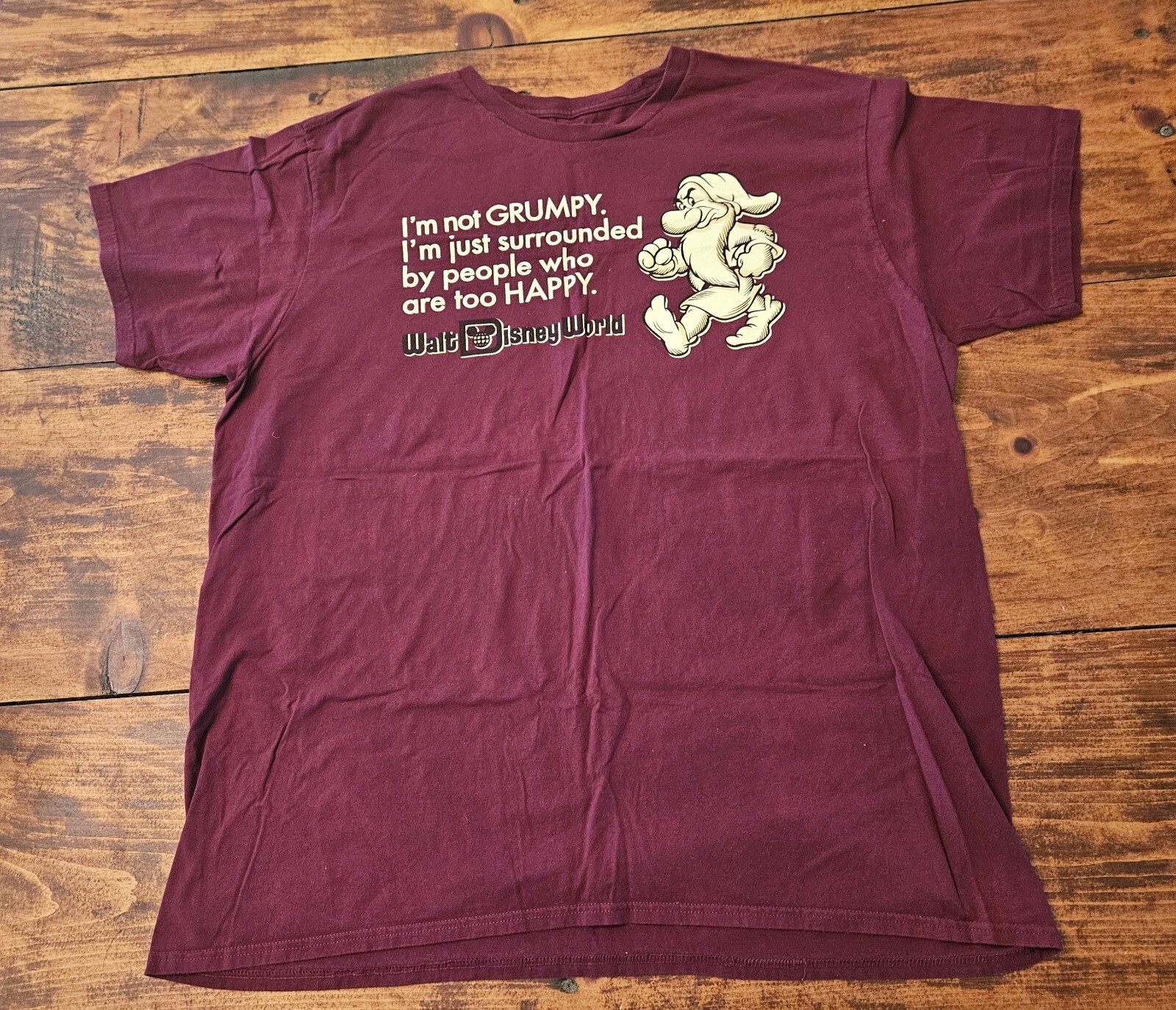 Hanes Vintage Disney World 