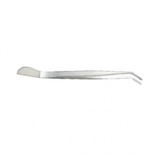 Kikuwa Bonsai Tweezers Curved Stainless Steel 220mm Root Rake Tool Japan