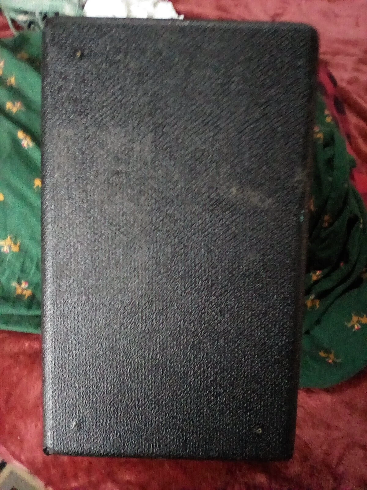 Picture 4 of 12