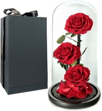 Red Roses Handmade Preserved Real Rose in Glass Dome, Long Lasting Roses Never W