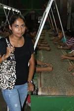 COSTA RICAN TARRAZU COFFEE BEANS DARK ROASTED 4 POUNDS IN 1 POUND BAGS