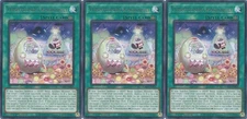 3x Yummyusment Acroquey | JUSH-EN024 | Rare | 1st Ed | NM | YuGiOh
