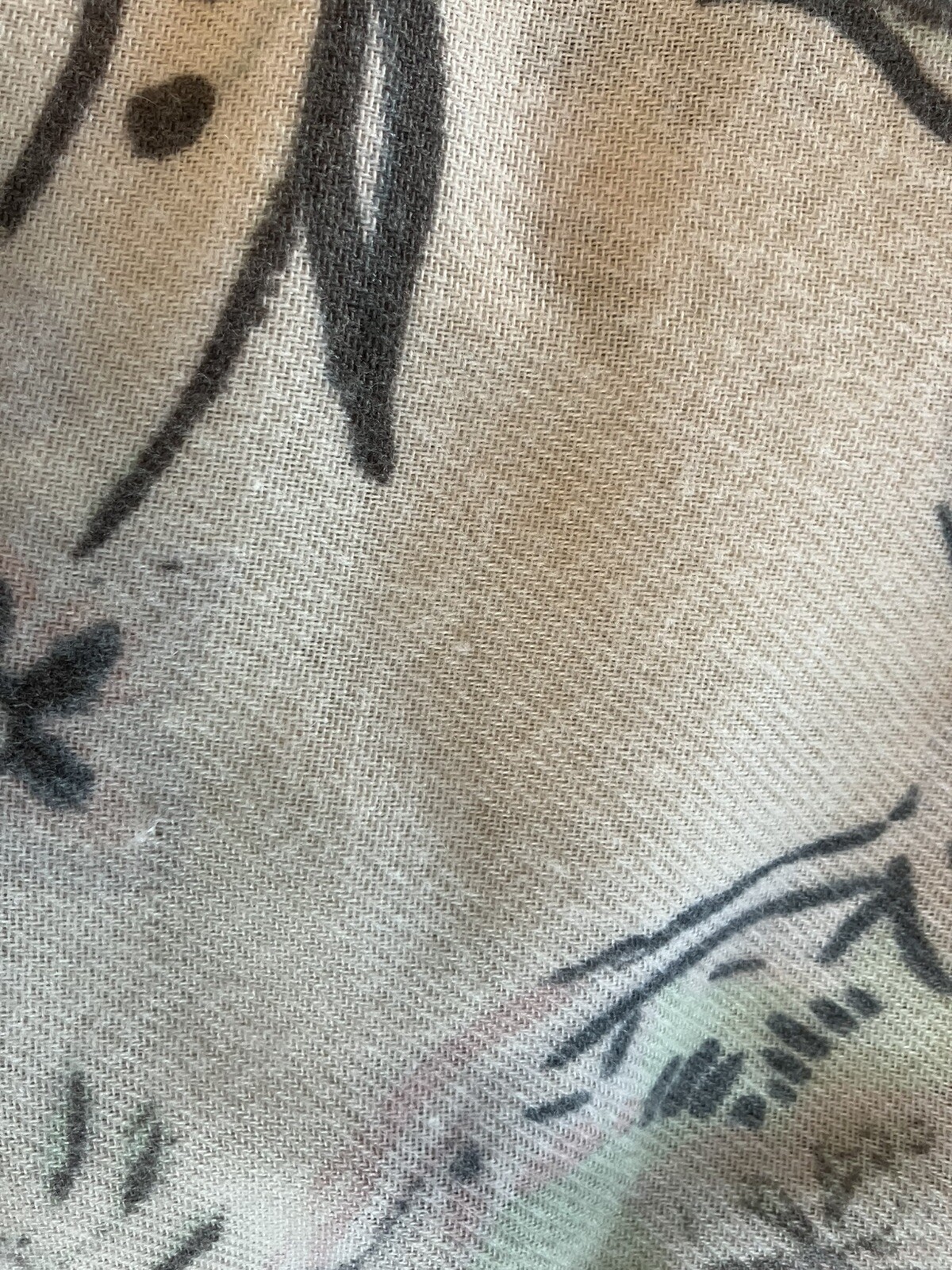 Foto 7 di 7