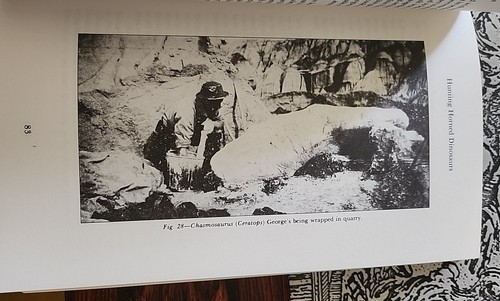 Charles Hazelius Sternberg, Jagd auf Dinosaurier in den schlechten Ländern der roten... - Bild 11 von 17