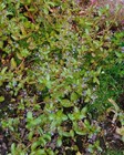 Bild 3 von 3
