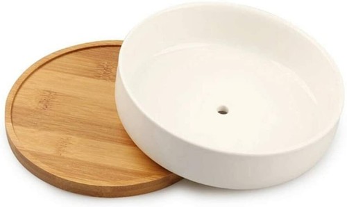 6er Pack Bambuspflanze, Sukkulentöpfe Kaktuspflanzgefäß Rundtopftablett - Bild 9 von 40