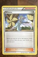 Winona 96/108 Roaring Skies Regular