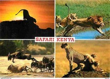 Postcard - Kenya - Kenya Safari - Multivview - Animals - Lions, Wildebeest, Leo