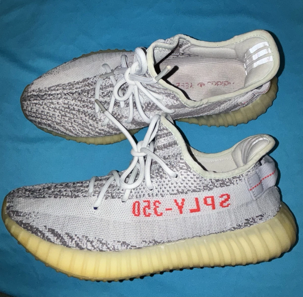 Yeezy Boost 350 V2 Low Blue Tint for Sale - Authenticity